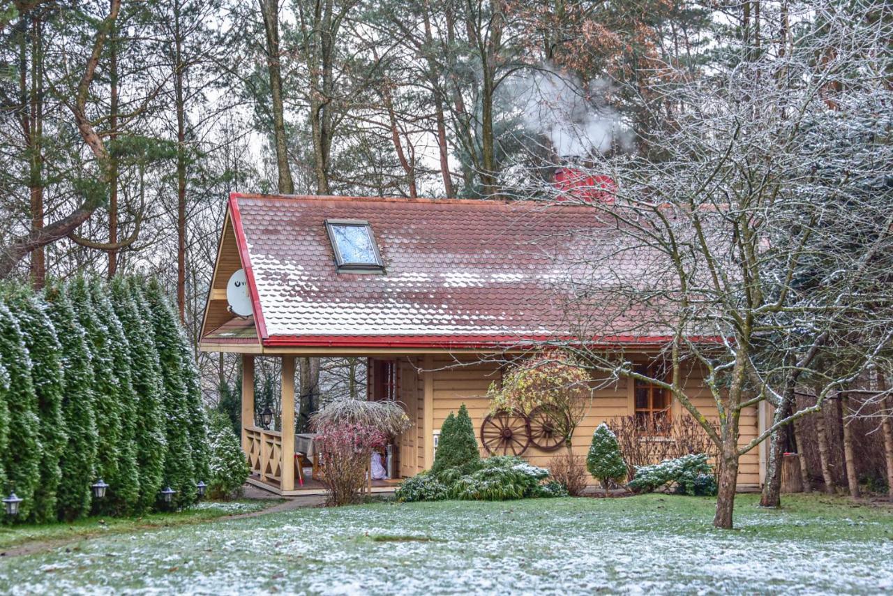 Villa Medaus Pirtele à Trakai Extérieur photo